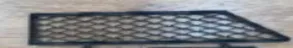 Surround the front bumper mesh L