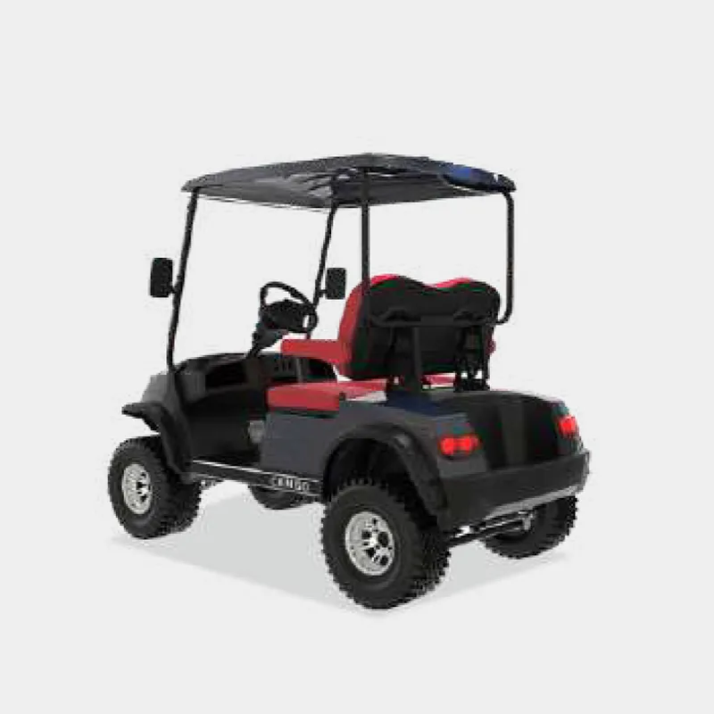 2 PASSENGERS GOLF CART NL-LC2.G