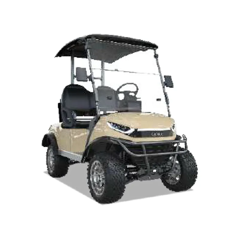 2 PASSENGERS GOLF CART NL-JZ2