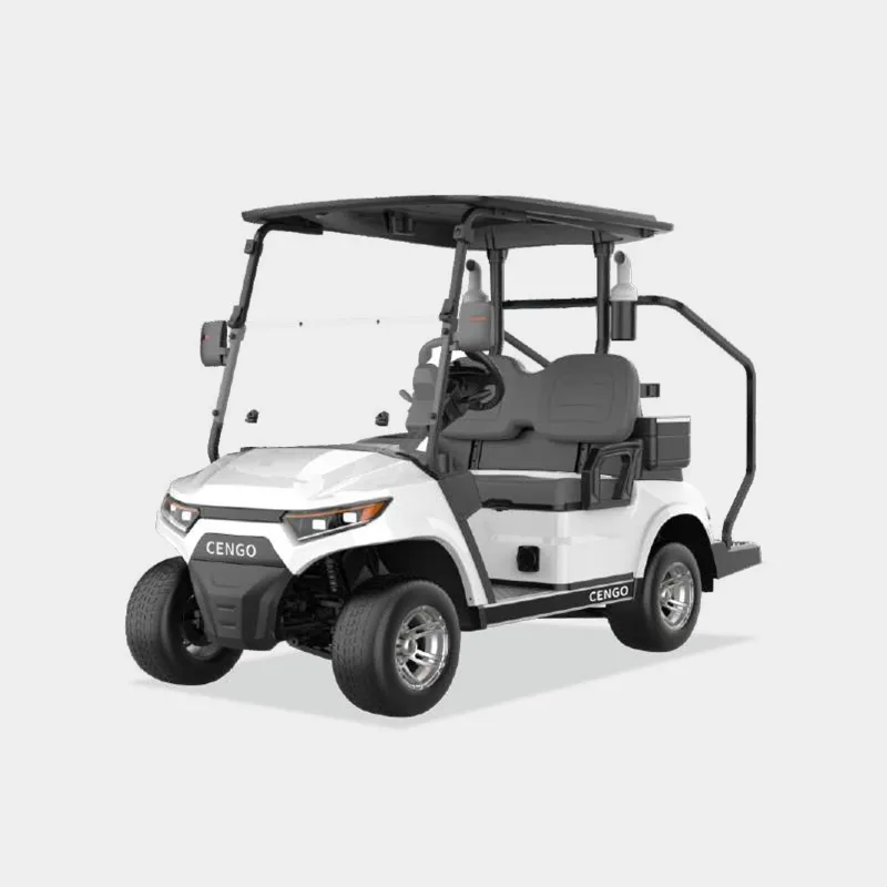 2 PASSENGERS GOLF CART NL-LC2