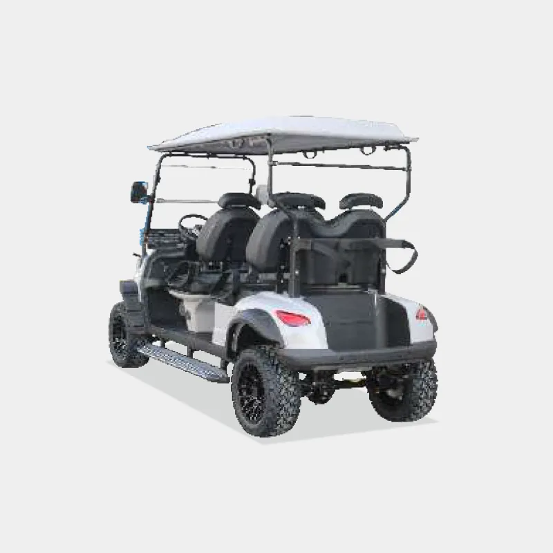4 PASSENGERS GOLF CART NL-JA4.G