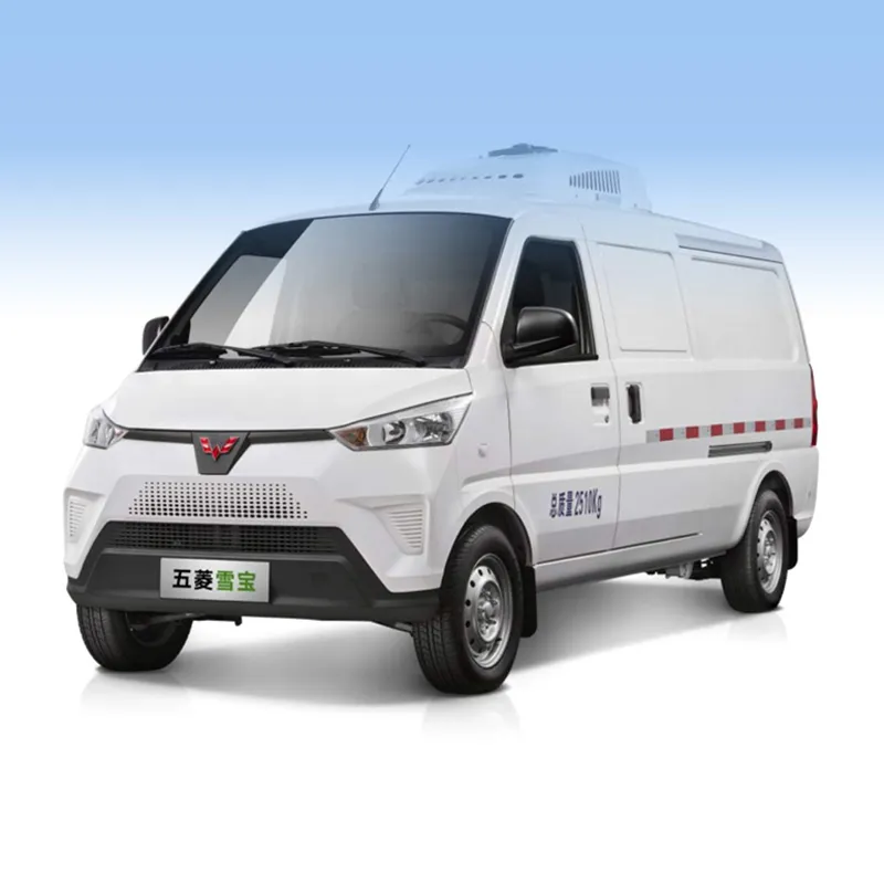 G100 pure electric van transport vehicle G100-Electr-icrefrigerated-Vank