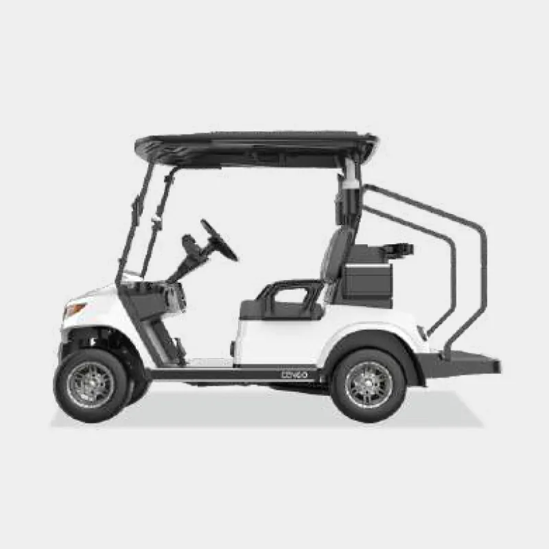 2 PASSENGERS GOLF CART NL-LC2