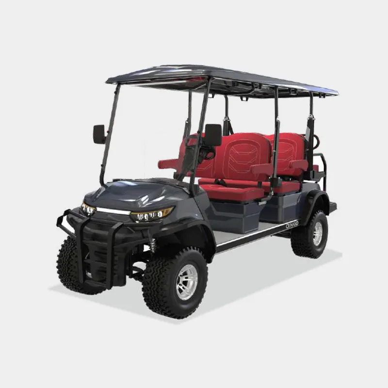 4 PASSENGERS GOLF CART NL-LC4+2.G
