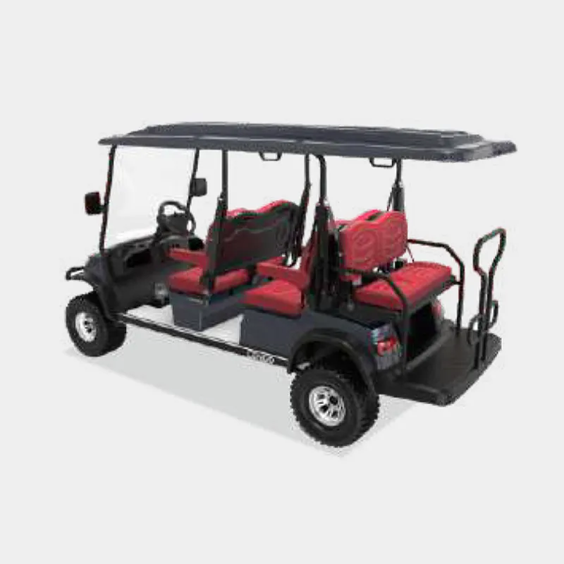 4 PASSENGERS GOLF CART NL-LC4+2.G
