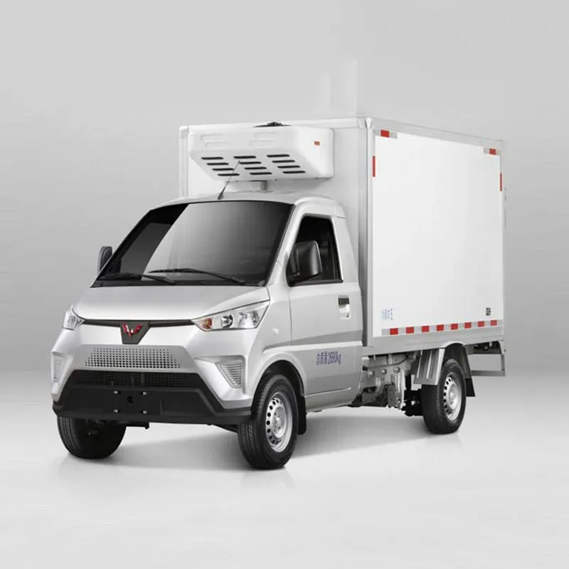 G100P pure electric van transport vehicle G100P-Electr-icrefrigerated-Truck