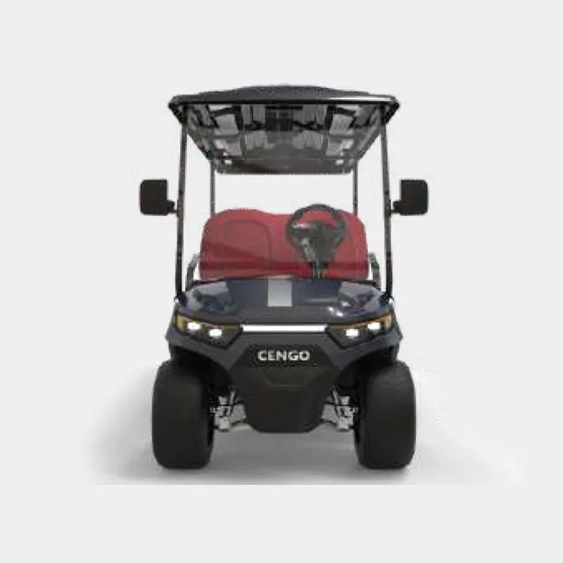 4 PASSENGERS GOLF CART NL-LC4+2