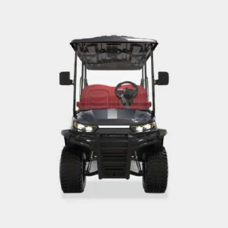 4 PASSENGERS GOLF CART NL-LC4+2.G