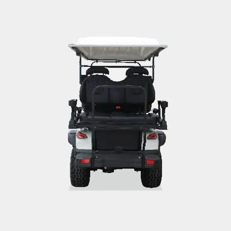 4 PASSENGERS GOLF CART NL-JA2+2.G