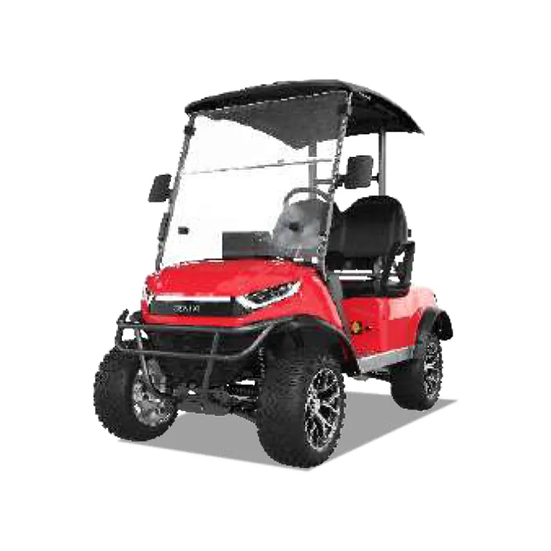 2 PASSENGERS GOLF CART NL-JZ2.G