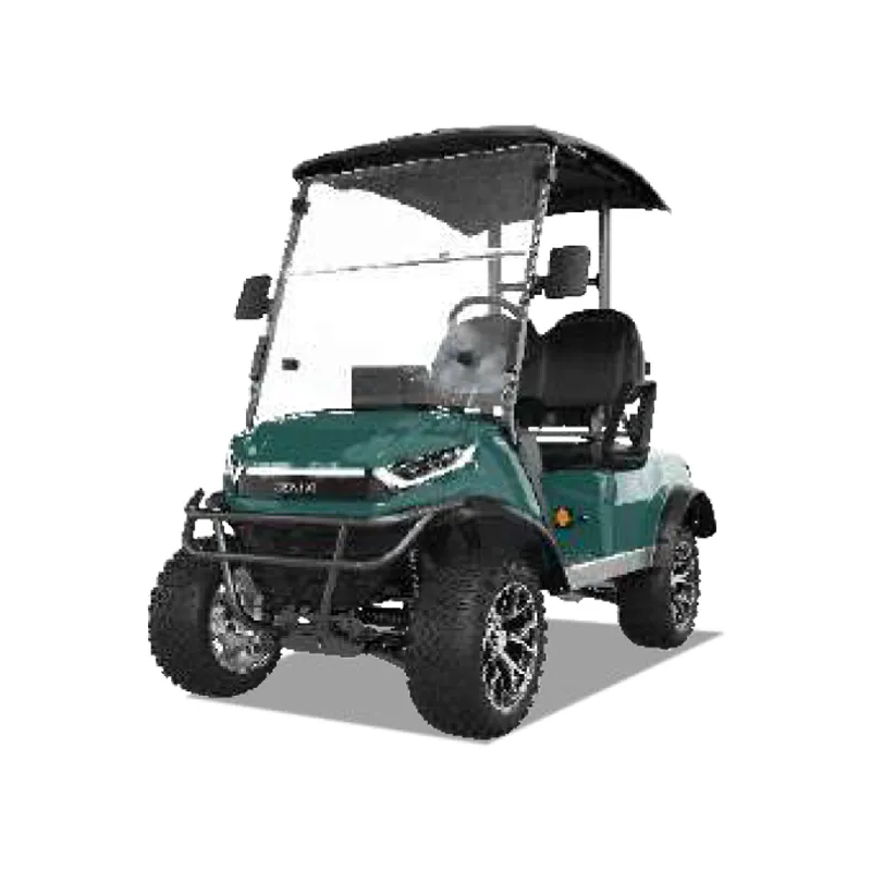 2 PASSENGERS GOLF CART NL-JZ2.G