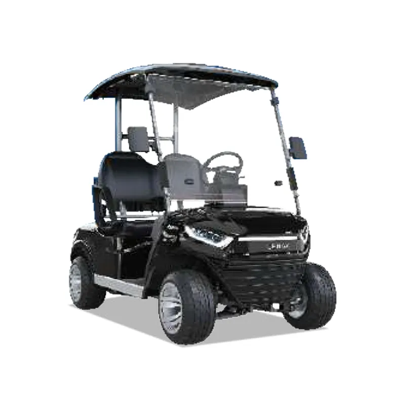2 PASSENGERS GOLF CART NL-JZ2