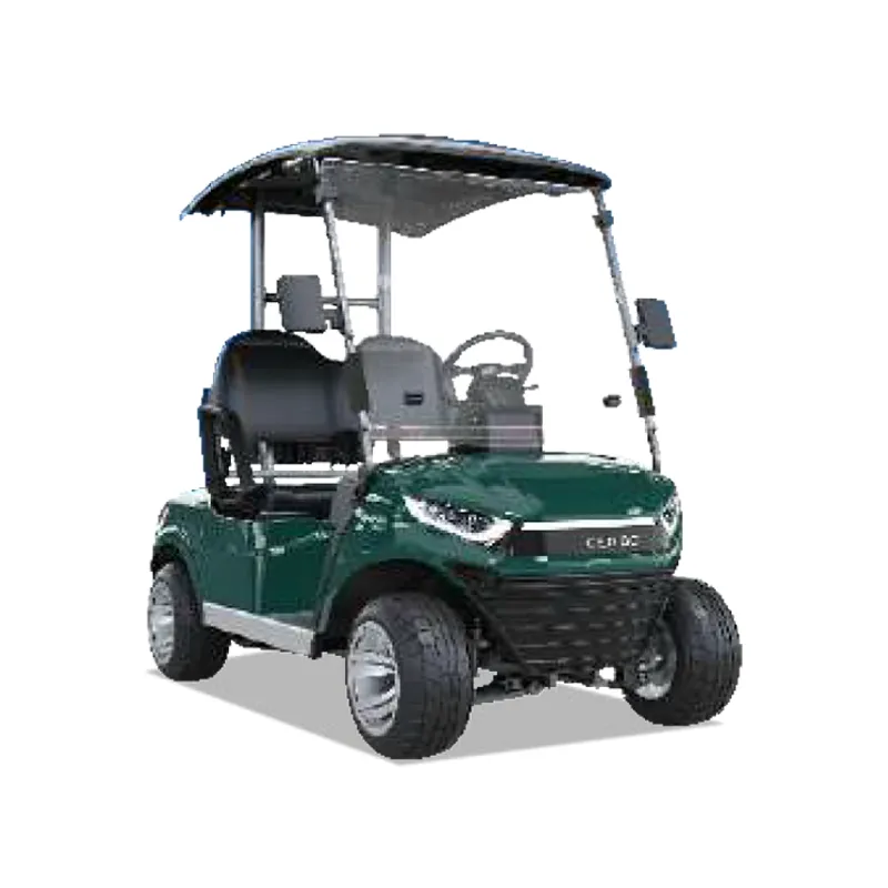 2 PASSENGERS GOLF CART NL-JZ2