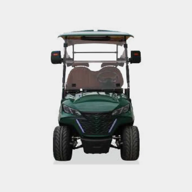 2 PASSENGERS GOLF CART NL-JA2