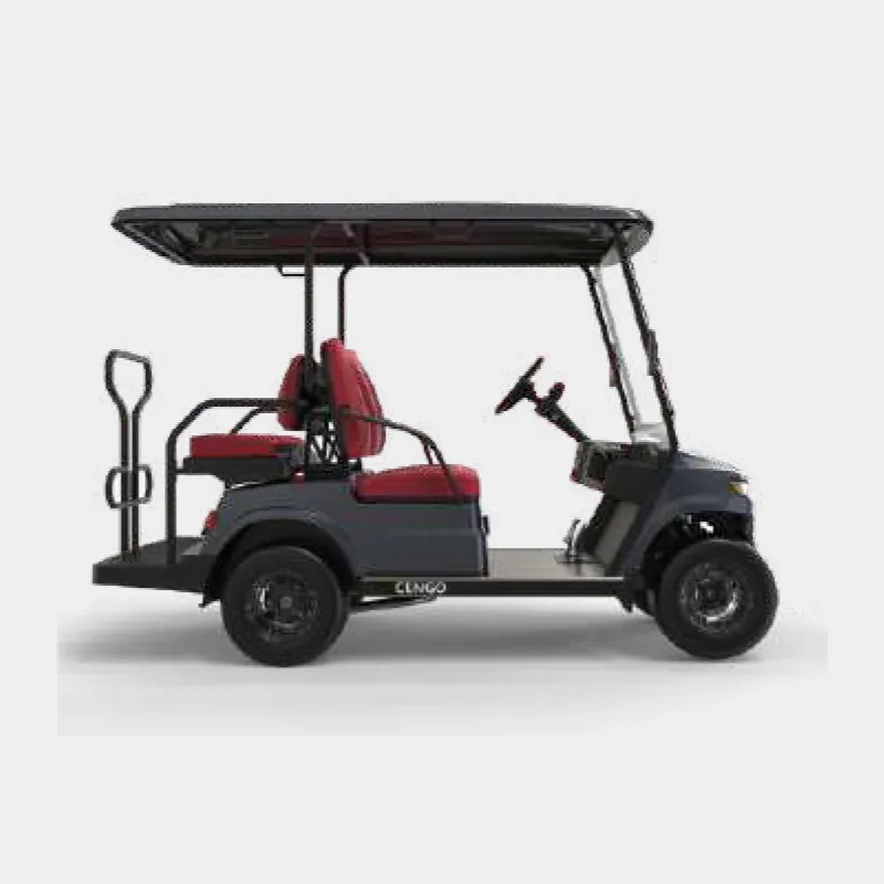 2 PASSENGERS GOLF CART NL-LC.2+2