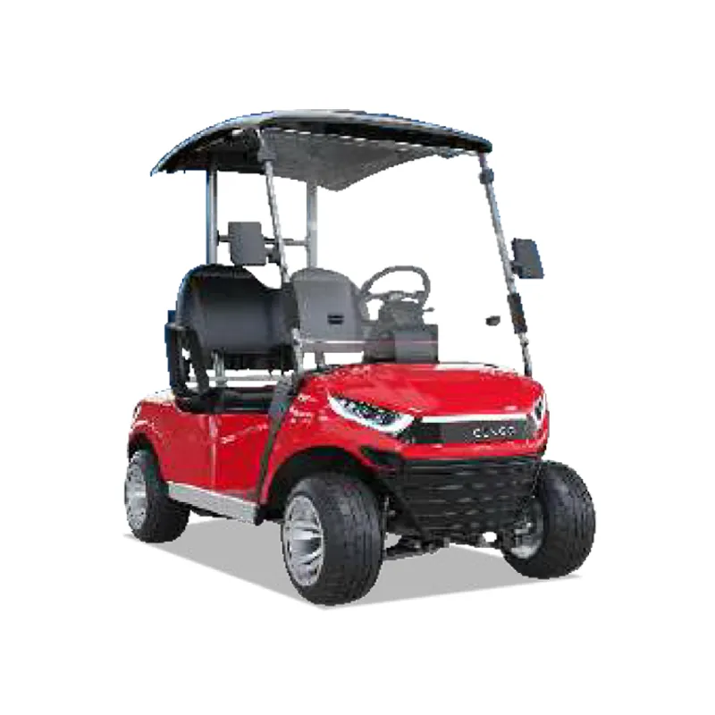 2 PASSENGERS GOLF CART NL-JZ2