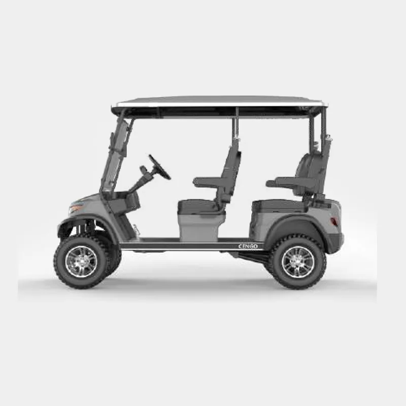 4 PASSENGERS GOLF CART NL-LC4.G