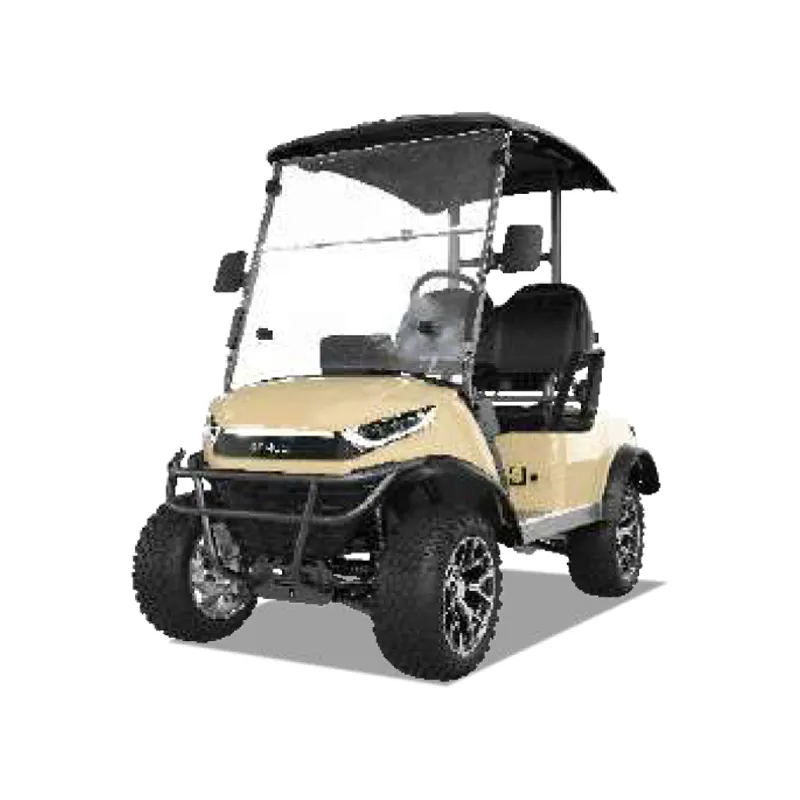 2 PASSENGERS GOLF CART NL-JZ2.G