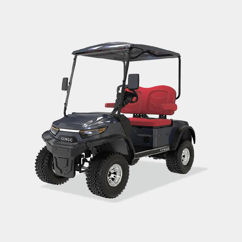 2 PASSENGERS GOLF CART NL-LC2.G