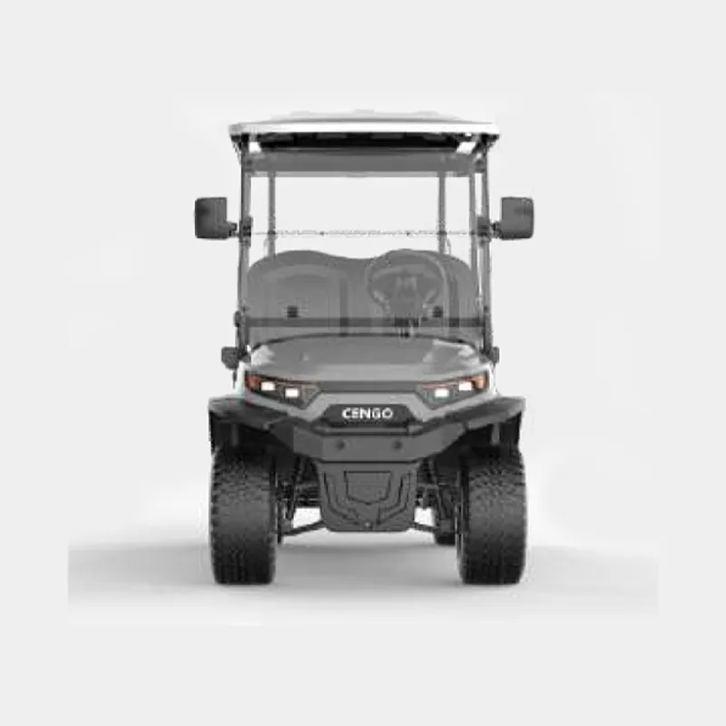 4 PASSENGERS GOLF CART NL-LC4.G