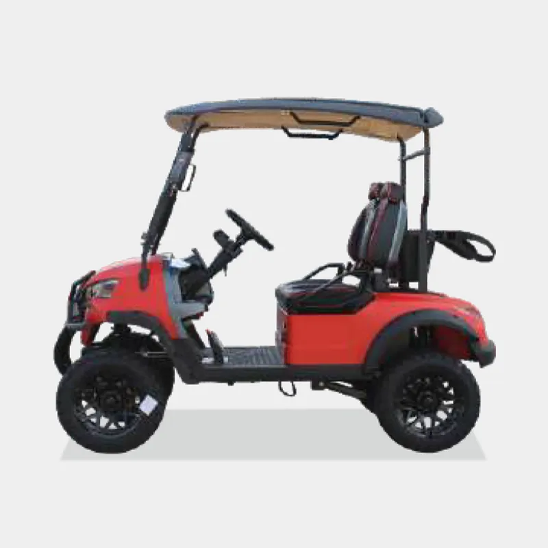 2 PASSENGERS GOLF CART NL-JA2.G