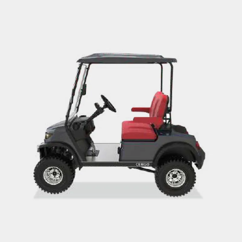 2 PASSENGERS GOLF CART NL-LC2.G