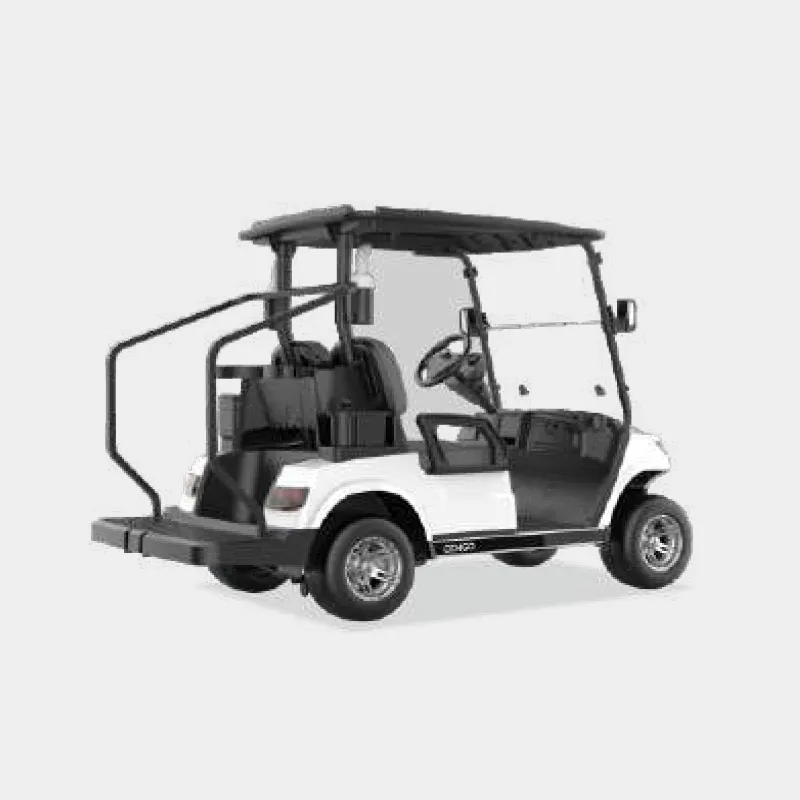 2 PASSENGERS GOLF CART NL-LC2