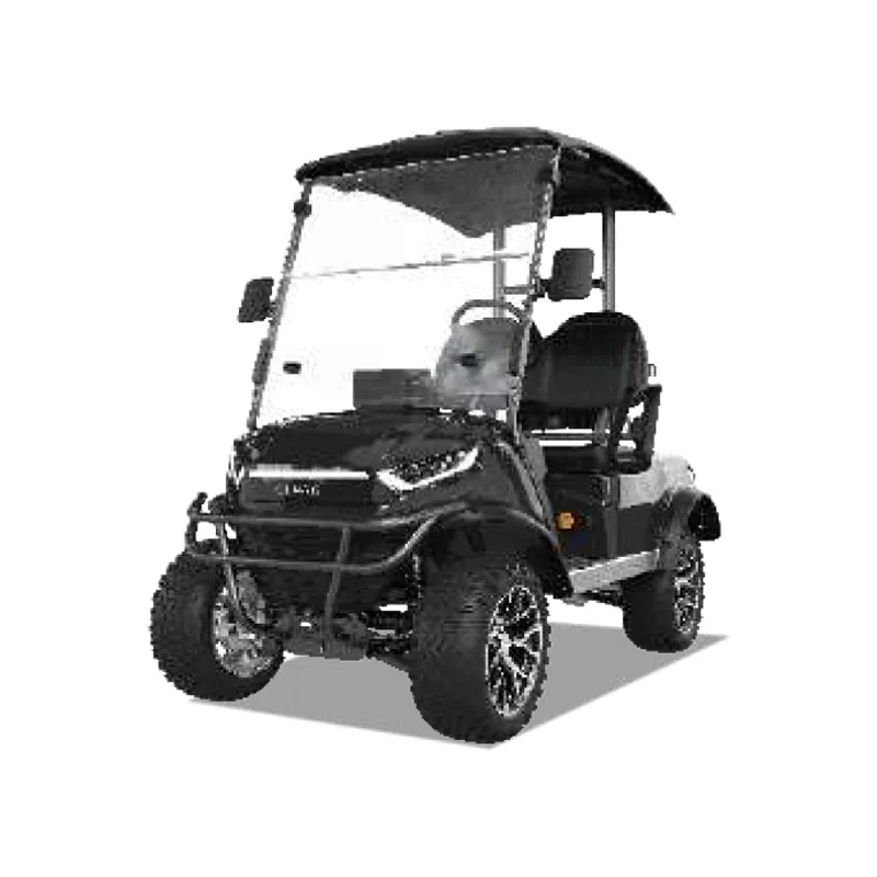 2 PASSENGERS GOLF CART NL-JZ2.G