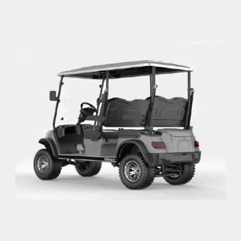 4 PASSENGERS GOLF CART NL-LC4.G
