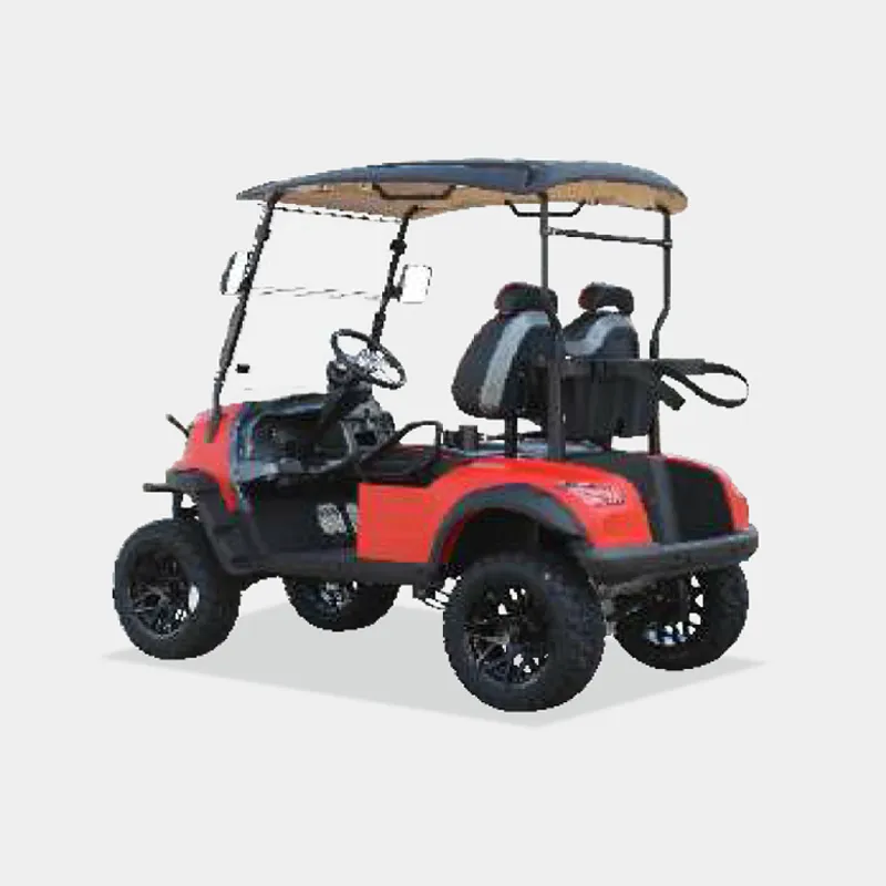 2 PASSENGERS GOLF CART NL-JA2.G
