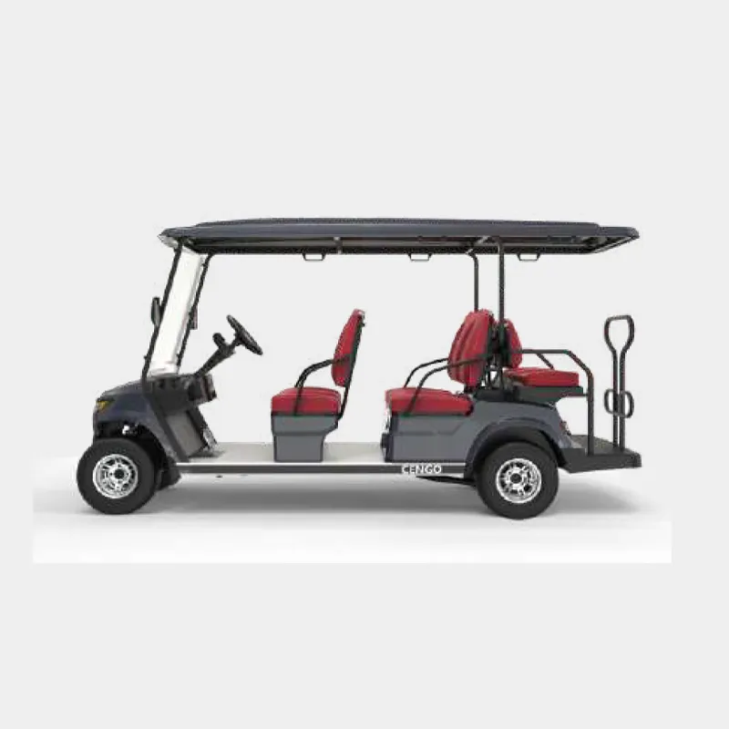 4 PASSENGERS GOLF CART NL-LC4+2