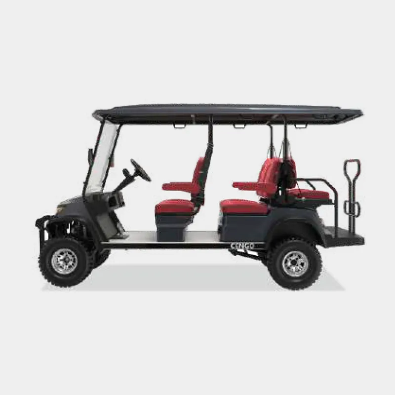 4 PASSENGERS GOLF CART NL-LC4+2.G