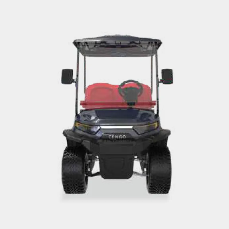 2 PASSENGERS GOLF CART NL-LC2.G