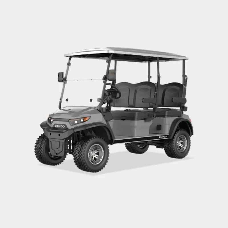4 PASSENGERS GOLF CART NL-LC4.G