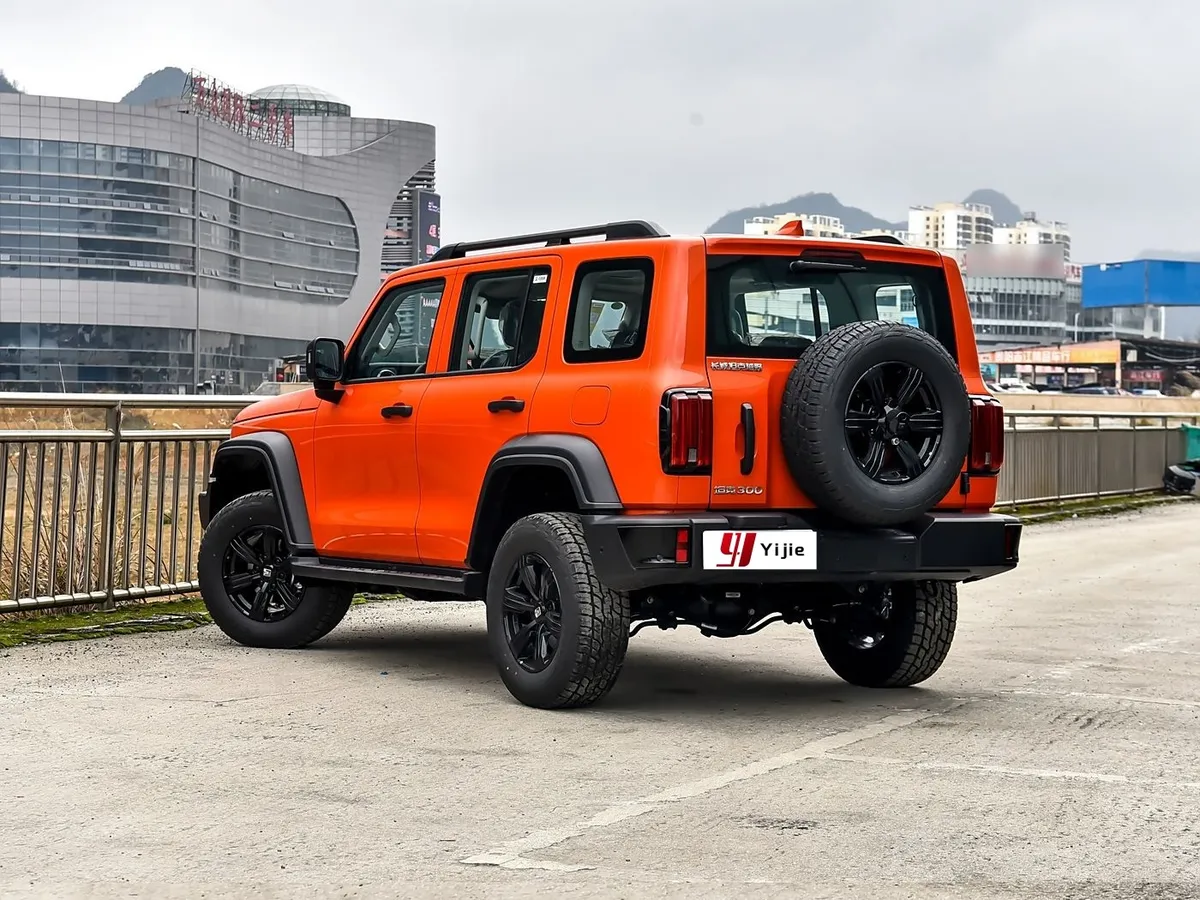 Hot Sale Tank 300 City Off-road 2025 Great Wall Gasoline SUV Car Tank New Car New Energy Vehicle 300 Tank