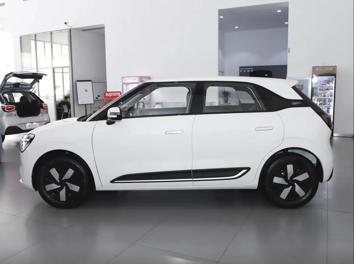 Dongfeng Motor Nammi 01 2025 330 Youth Edition