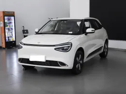 Dongfeng Motor Nammi 01 2025 330 Youth Edition