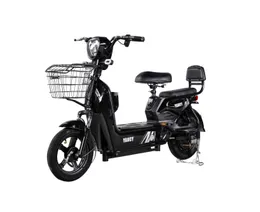 Peqi Head Meter Golden Eagle Golden Eagle Two-wheel Electric Vehicle