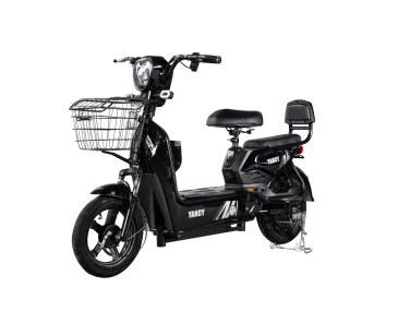 Peqi Head Meter Golden Eagle Golden Eagle Two-wheel Electric Vehicle