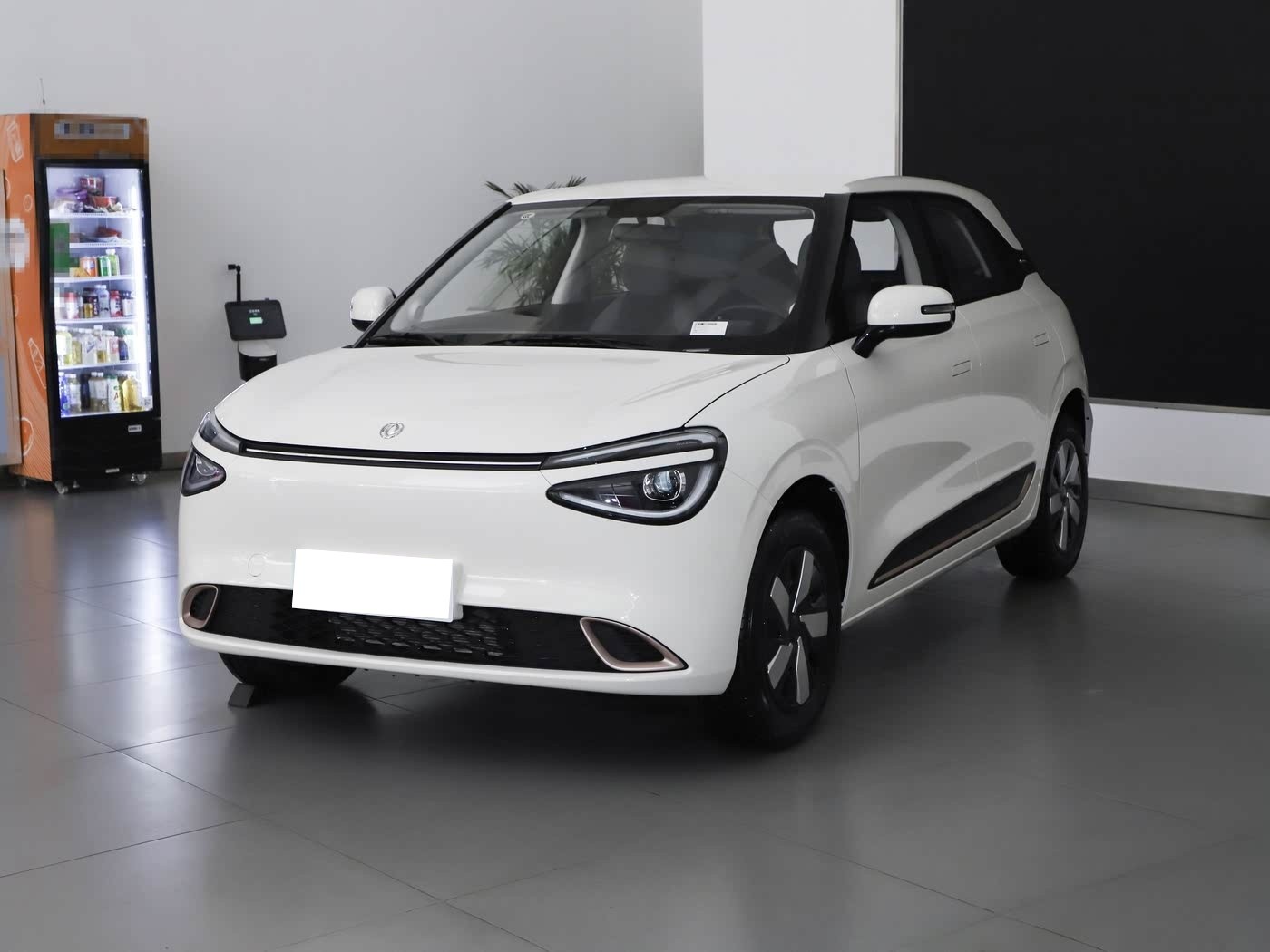 Dongfeng Nano Nano 01 2024 330 Plus