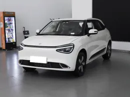 Dongfeng Nano Nano 01 2024 330 Plus
