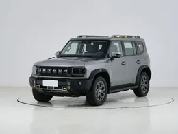 Jetour Mountain and Sea T2 2025 CDM 208KM Forest and Field Edition