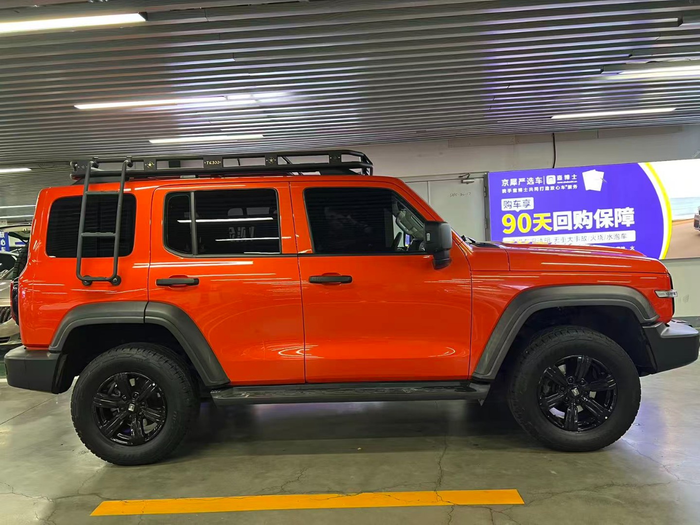 Tank 300 2021 Model Off-Road Edition 2.0T Conqueror