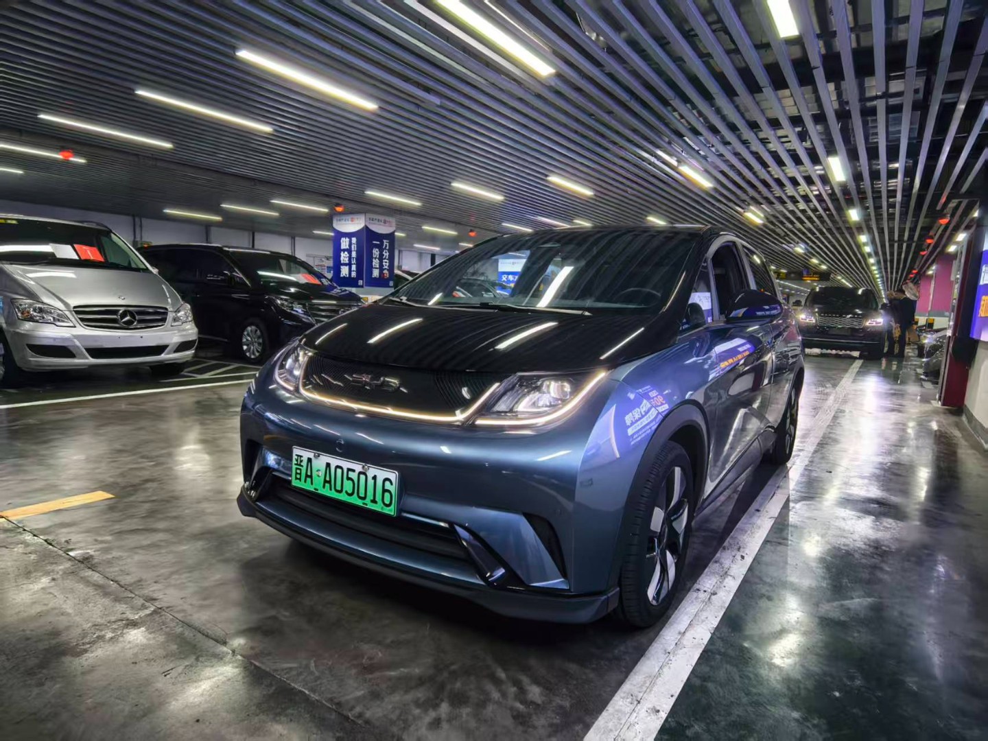 2024 BYD Dolphin Electric – Honor Knight Edition EV