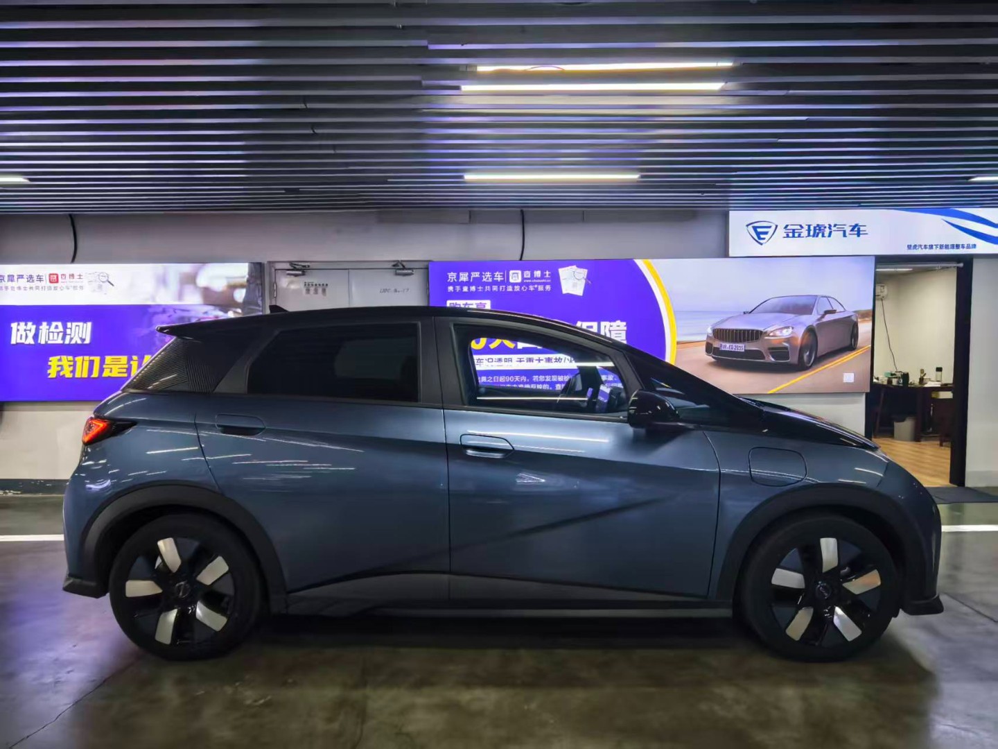 2024 BYD Dolphin Electric – Honor Knight Edition EV