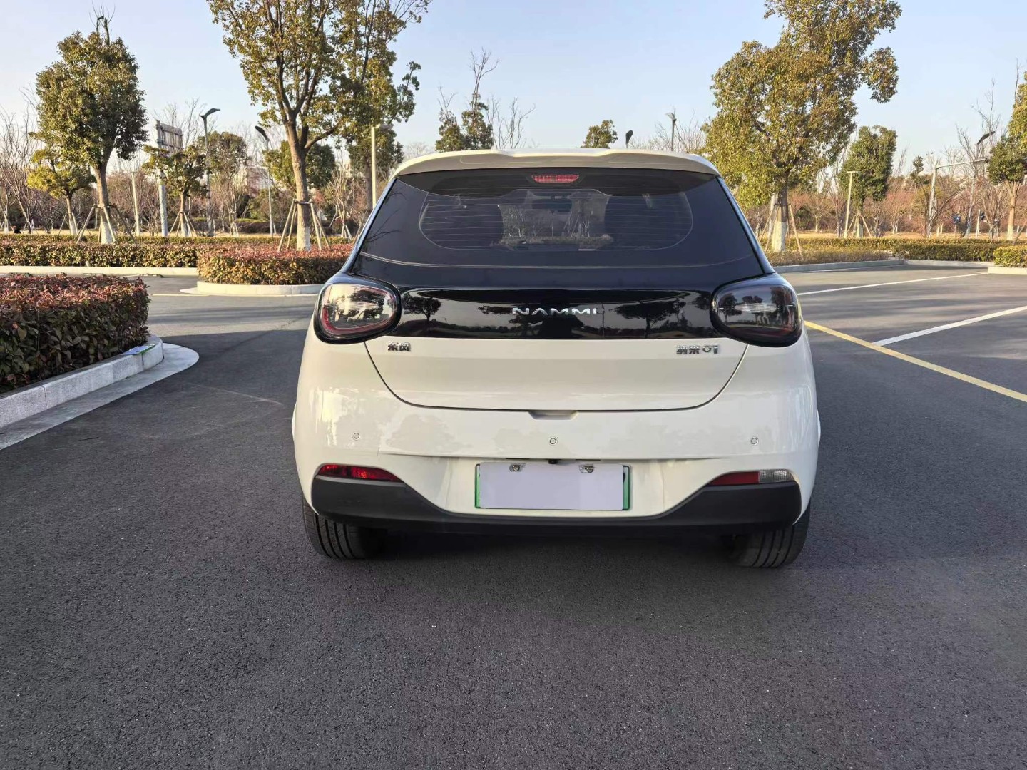 Dongfeng Nano 01