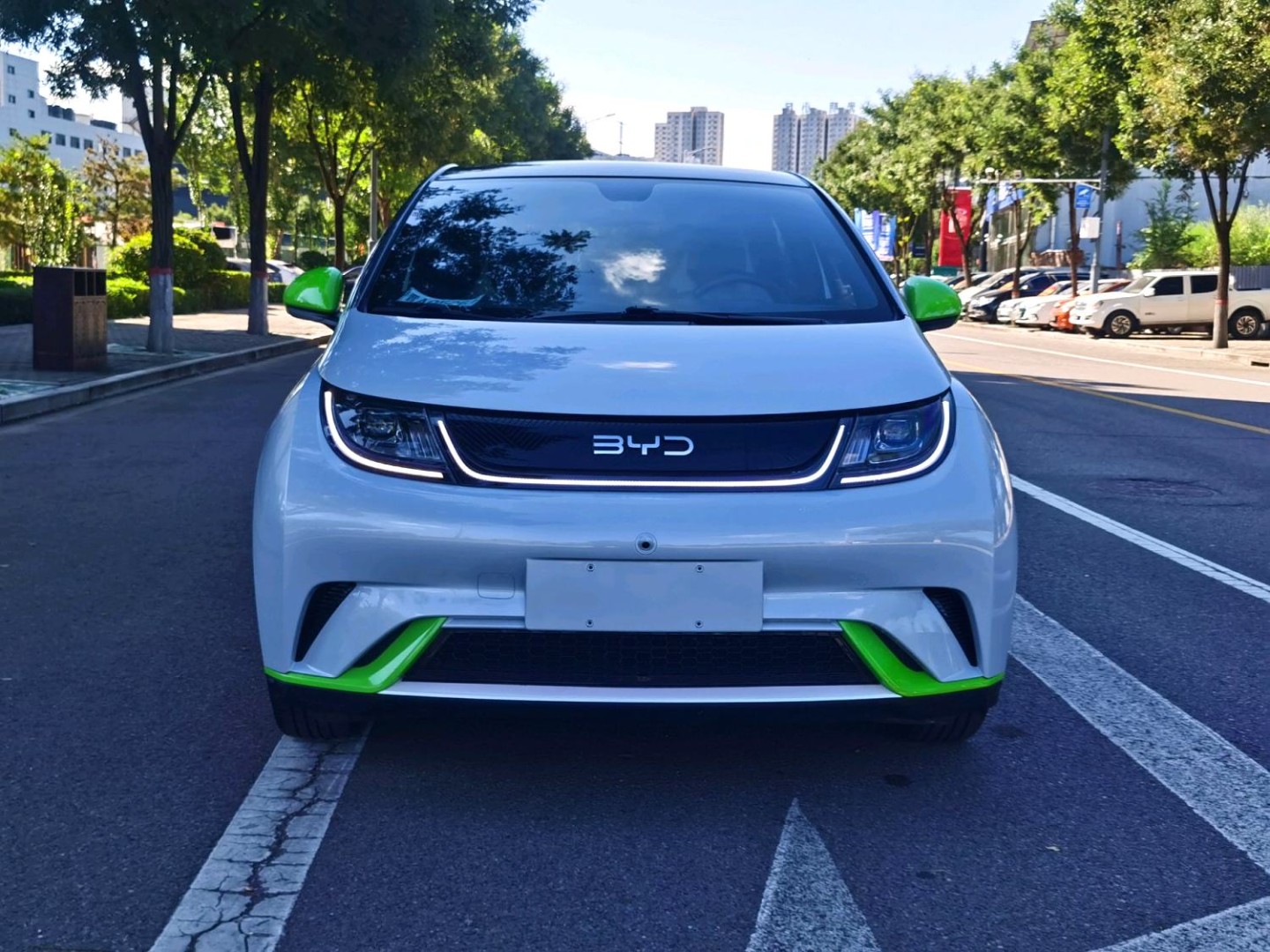 Byd Dolphin