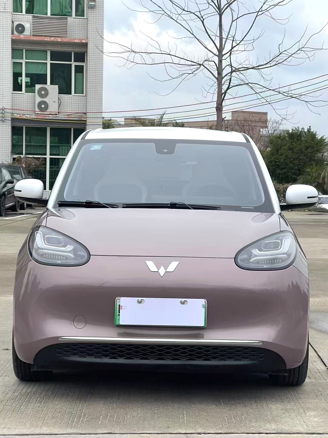 Wuling Bingo