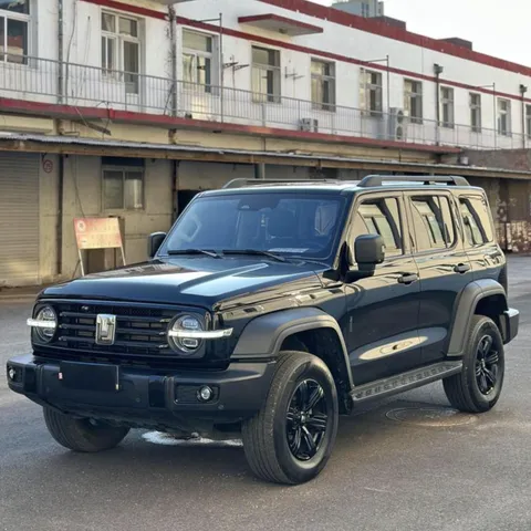 Hot Sale Tank 300 City Off-road 2025 Great Wall Gasoline SUV Car Tank New Car New Energy Vehicle 300 Tank