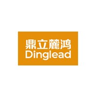 Hunan Dingli Electric Technology Co., Ltd.